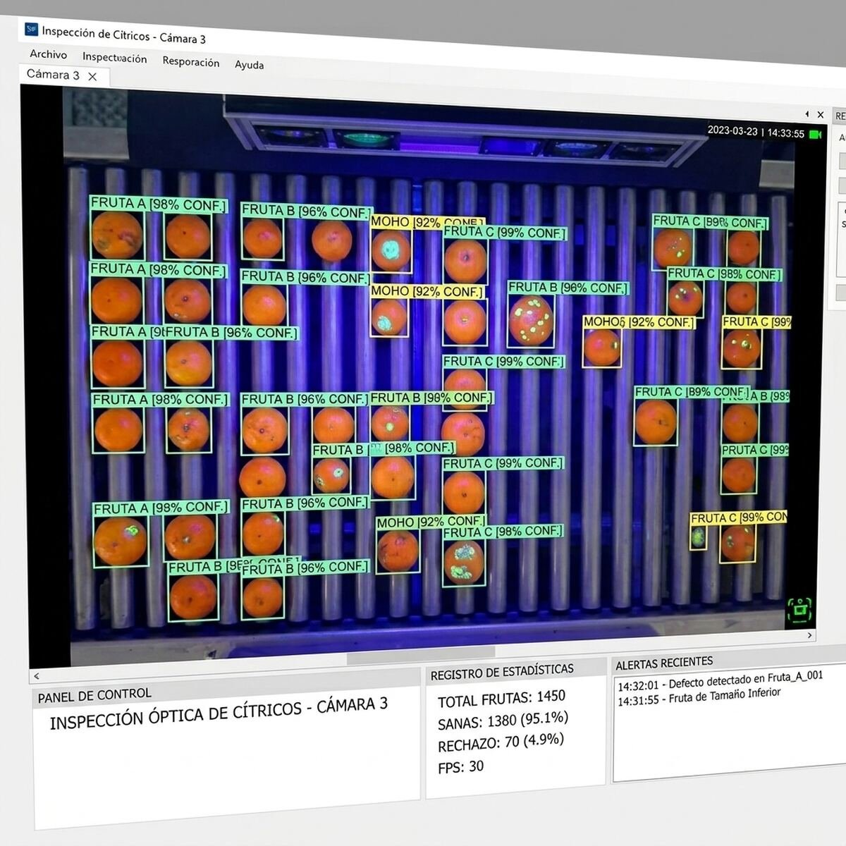Deteccion de defectos en citricos mediante vision por computadora